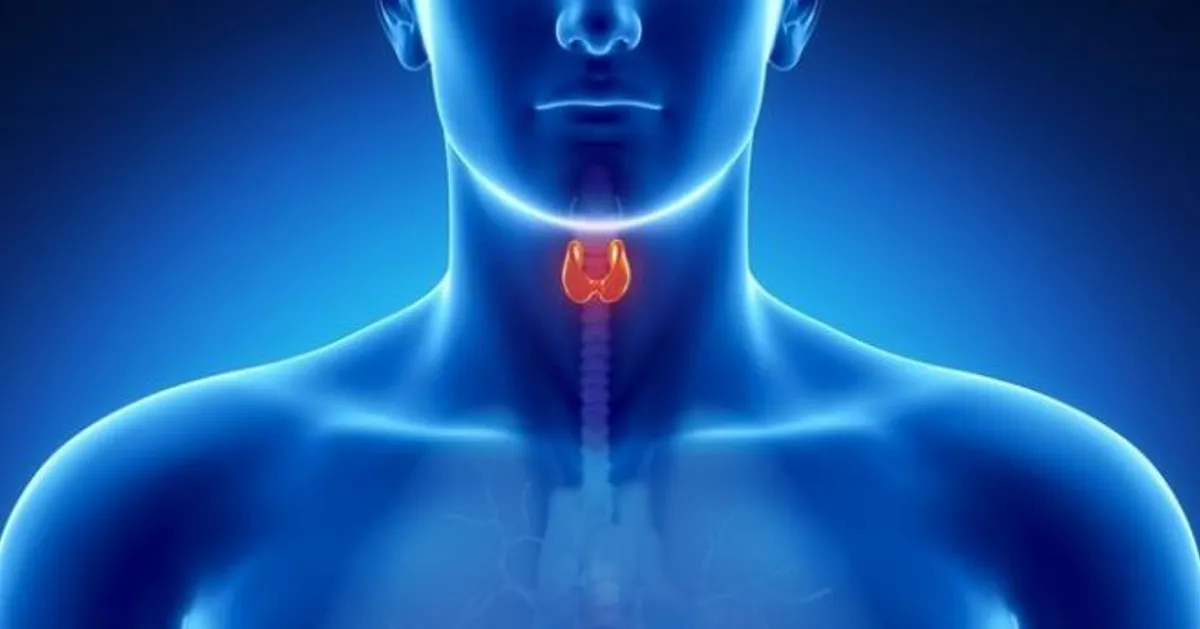 L'Hypothyroïdie : Comprendre et Gérer une Pathologie Fréquente